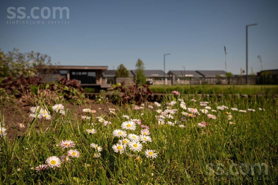Lijas iela 3, Vīkuļi, Rīgas rajons, Babītes pag. — zeme