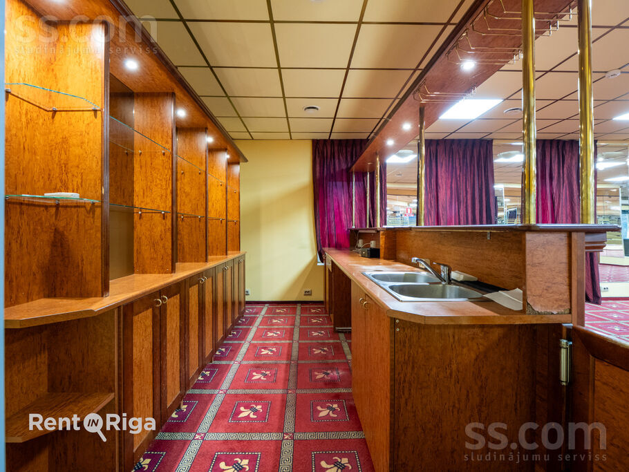 Dammes 9a, Rīga, Imanta — telpa