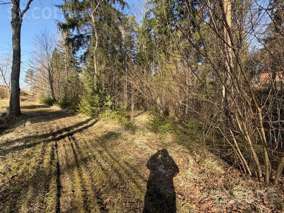 Terces 1, Ogre un raj., Ogre — zeme