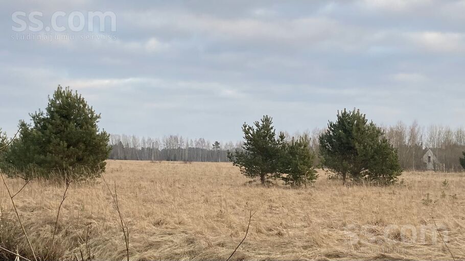 Grantiņi, Ventspils un raj., Piltenes l. t. — zeme