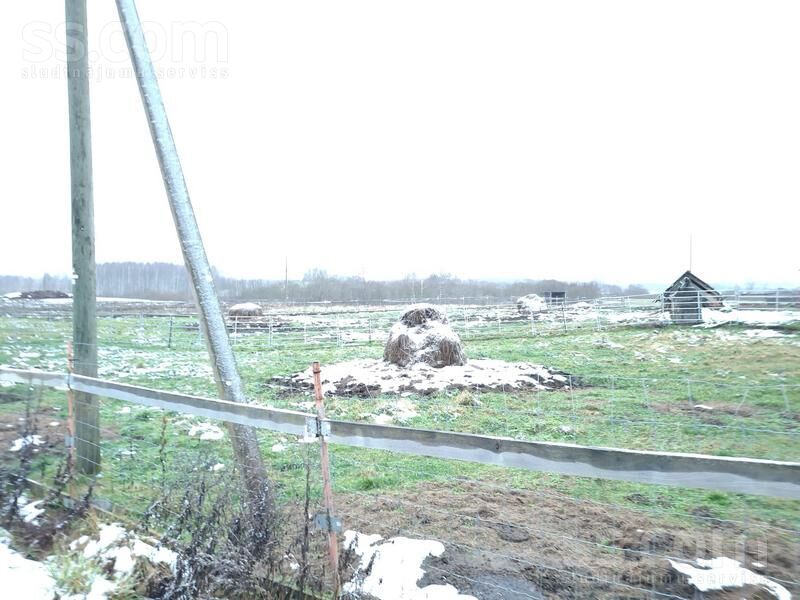 Kalna Pupoli, Šengeida, Daugavpils un raj., Skrudalienas pag. — telpa