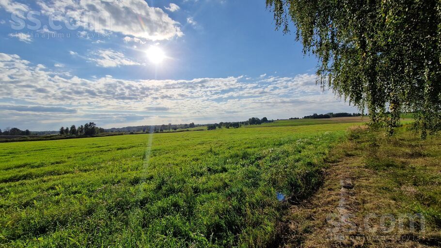 Graši, Eikaži, Rīgas rajons, Krimuldas pag. — zeme