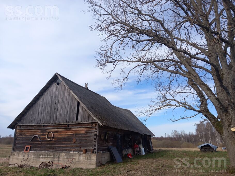 Tadenava, Jēkabpils un raj., Dunavas pag. — vienseta