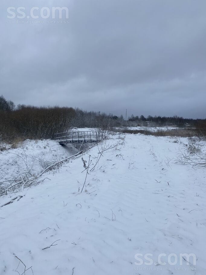 Biķernieki 1, Biķernieki, Daugavpils un raj., Biķernieku pag. — zeme