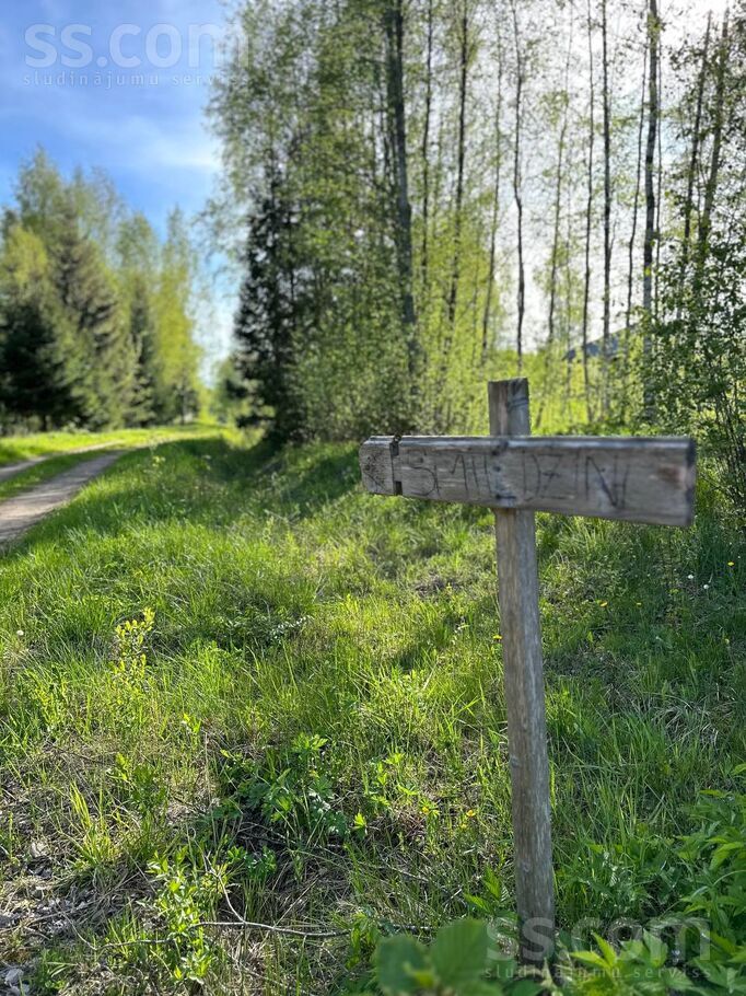 Stirnas, More, Rīgas rajons, Mores pag. — maja