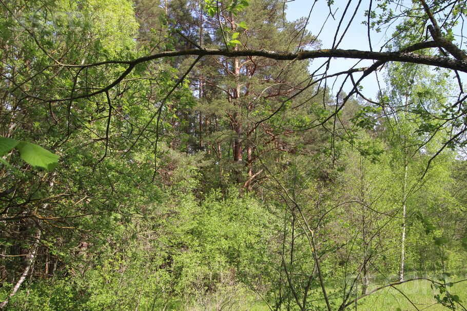 Kāši-Ventas, Daugavpils un raj., Medumu pag. — zeme