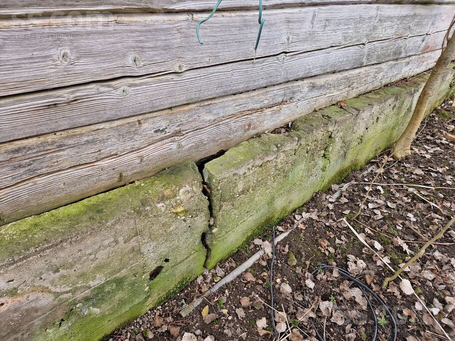 Vite, Rīgas rajons, Mālpils pag. — vienseta