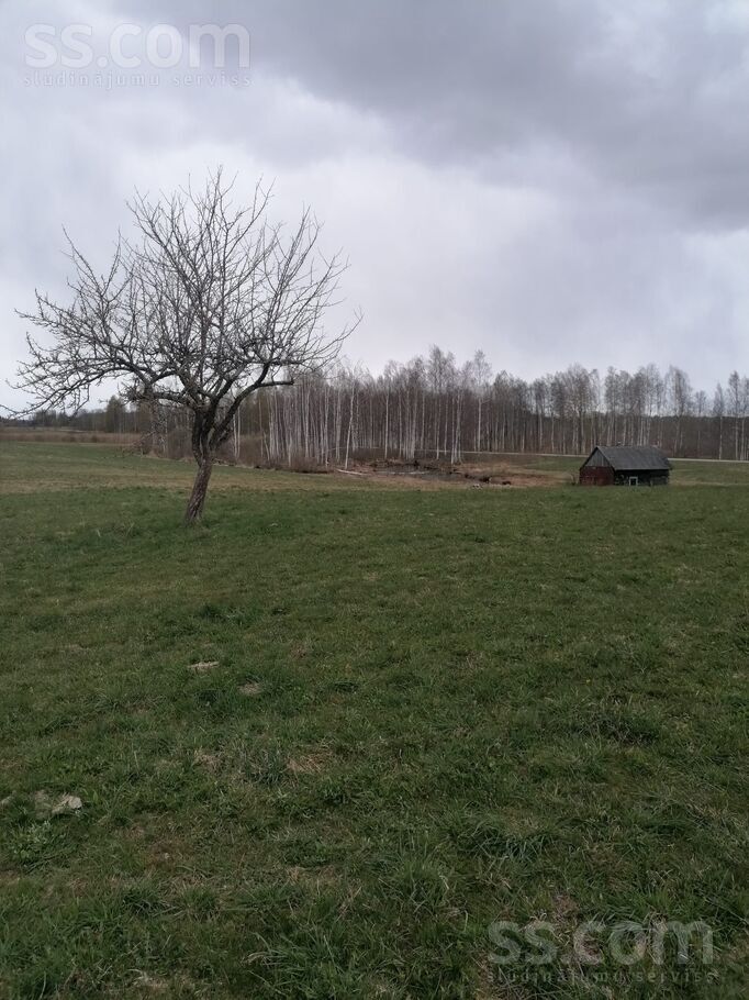 Saliena, Daugavpils un raj., Salienas pag. — vienseta