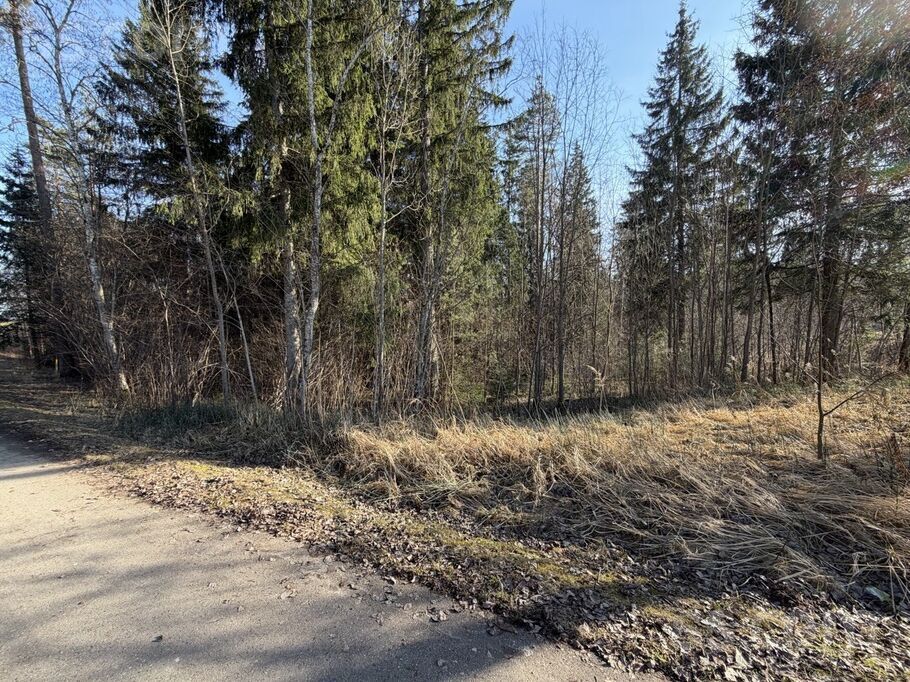 Terces 1, Ogre un raj., Ogre — zeme