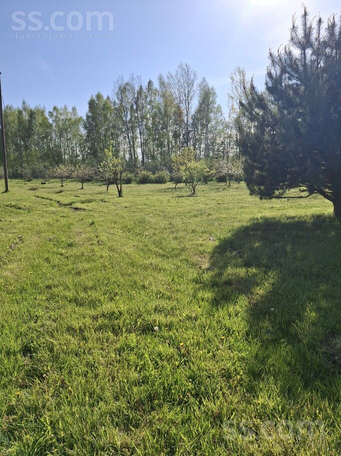 Dzintari, Cimāles, Jelgava un raj., Līvbērzes pag. — maja