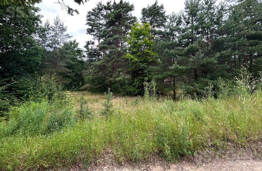 Jaunciema 6. šķ. l. 15, Rīga — zeme