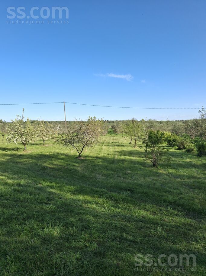 Dzintari, Cimāles, Jelgava un raj., Līvbērzes pag. — maja