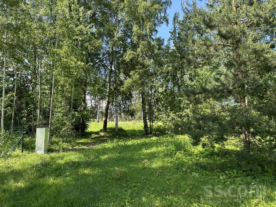 Mežrozīšu 17, Jūrmala — zeme