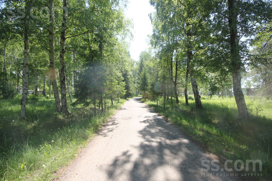 Apšu 5, Cimdenieki, Liepāja un raj., Grobiņas pag. — zeme