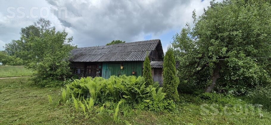 Birzes, Aleksandrova, Krāslava un raj., Piedrujas pag. — maja