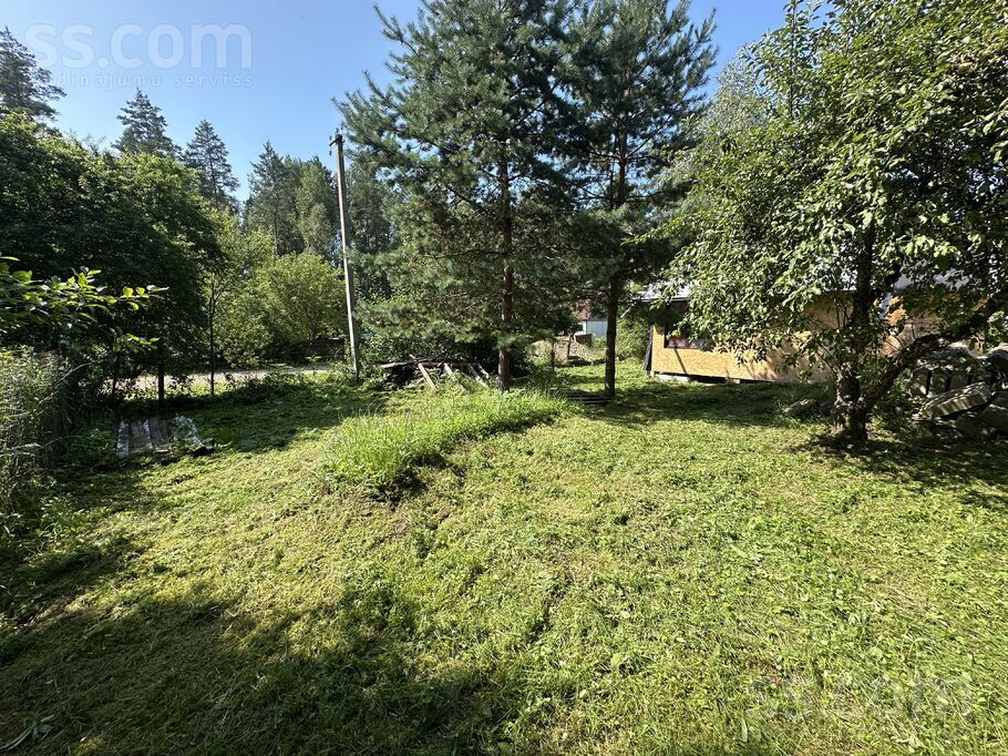 Ziediņi 195, Jāņupe, Rīgas rajons, Olaines pag. — zeme