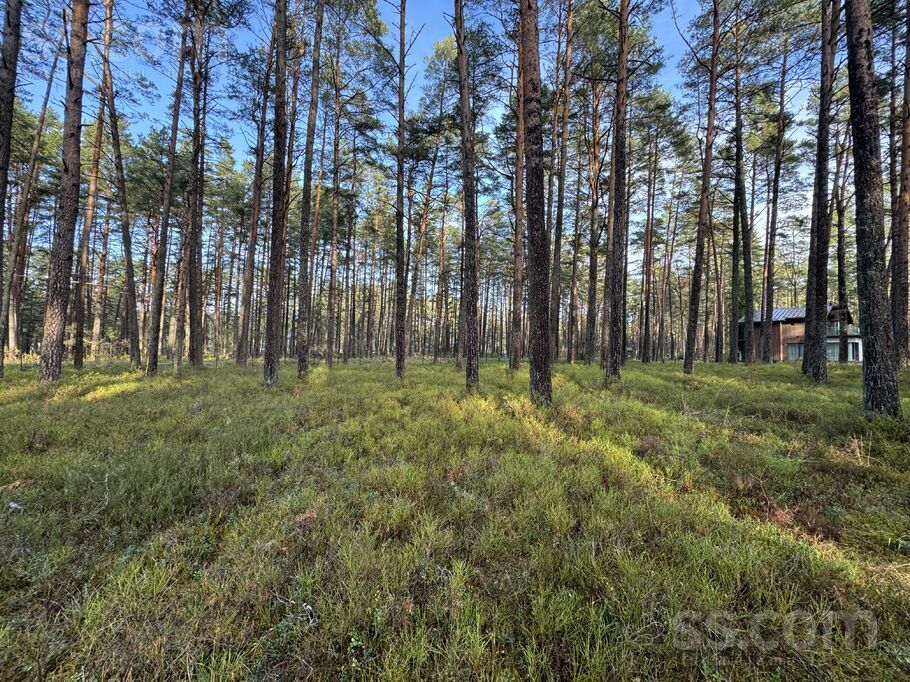 Brīvības prospekts 48, Jūrmala — zeme