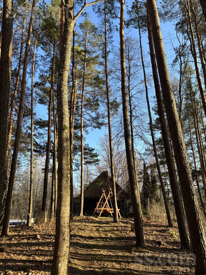 Miera 7, Silajāņi, Preiļi un raj., Silajāņu pag. — maja