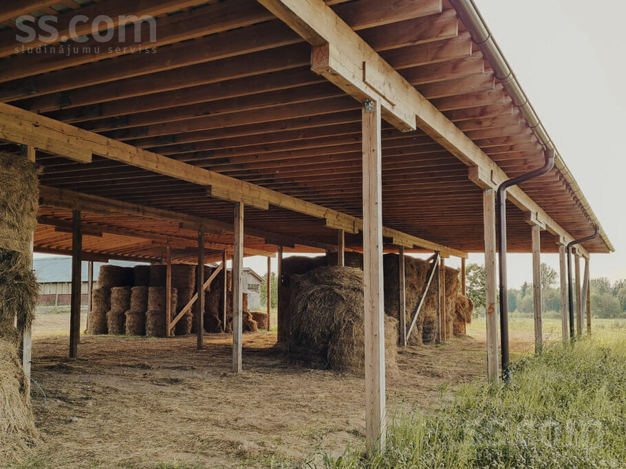 Saules, Vurpuļi, Ludza un raj., Nirzas pag. — zeme