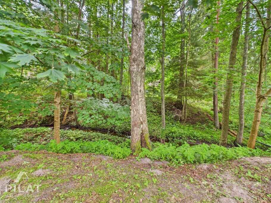 Roja, Roja, Talsi un raj., Rojas pag. — maja