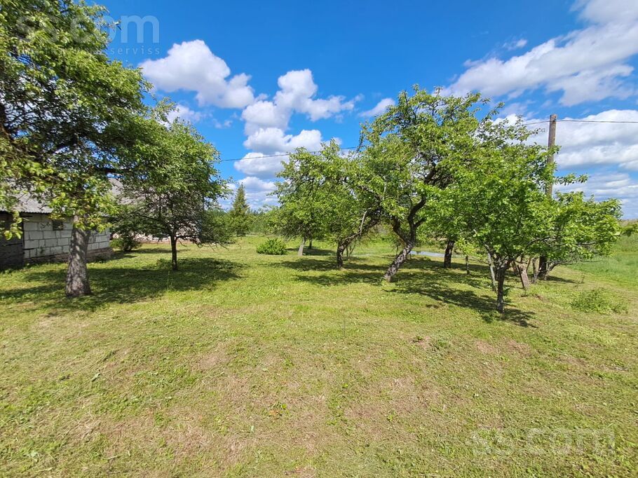 Kriviniški, Daugavpils un raj., Medumu pag. — vienseta