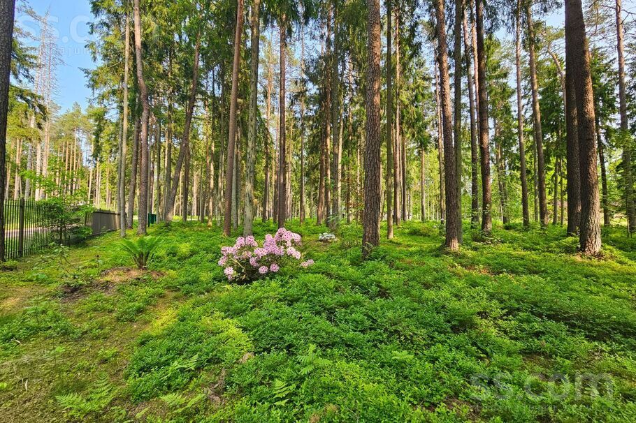 Gaujmalieši, Rīgas rajons, Krimuldas pag. — maja