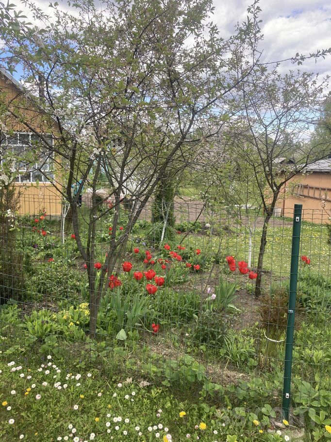 14 linia 15, Krāslava un raj., Krāslava — maja