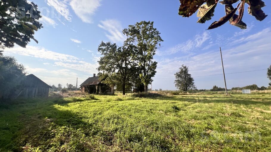 Baltegles, Trenči, Rīgas rajons, Babītes pag. — maja