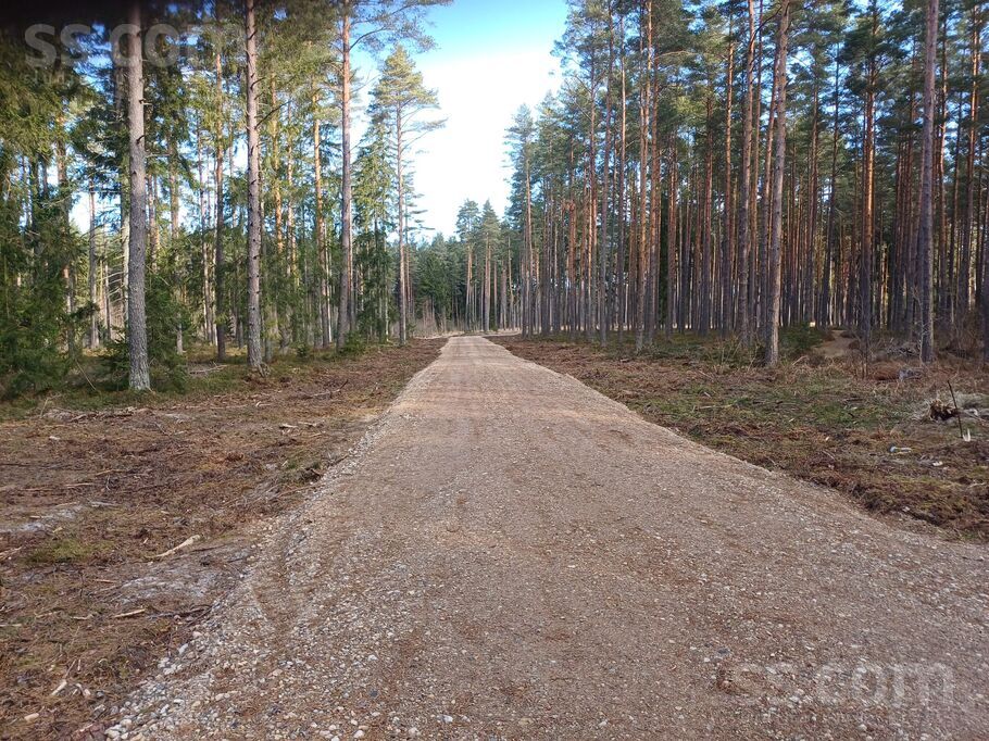 Mežmalas iela, Engure, Tukums un raj., Engures pag. — zeme