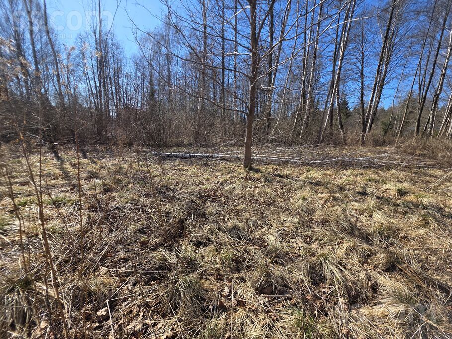 Ceriņu 13, Stūnīši, Rīgas rajons, Olaines pag. — zeme