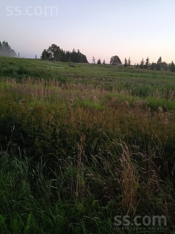 Annas, Ineši, Cēsis un raj., Inešu pag. — zeme