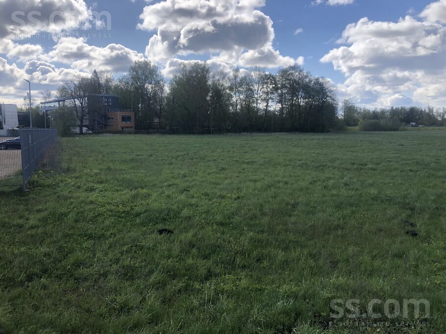 Plieņciema iela 8, Mārupe, Rīgas rajons, Mārupes pag. — zeme