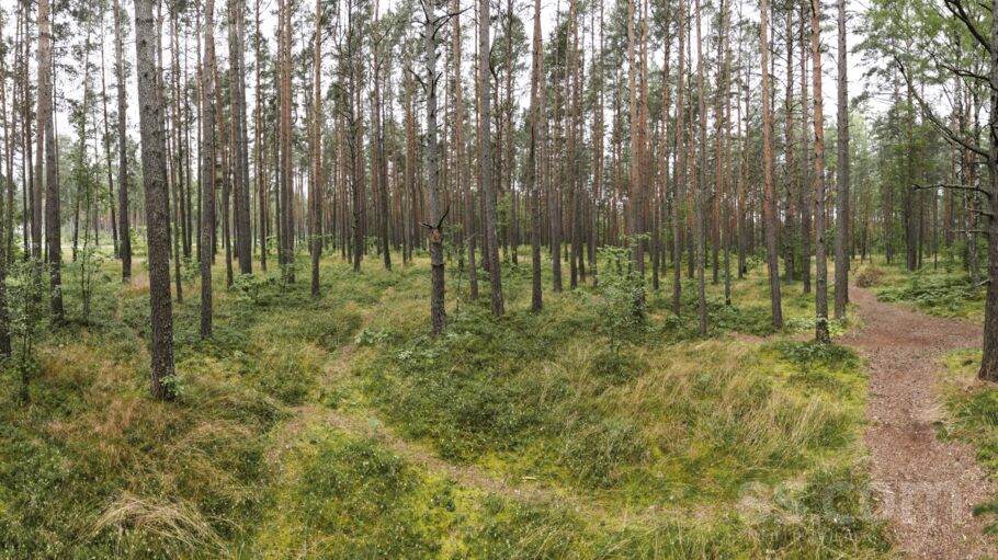 Kadagas ceļš 17, Kadaga, Rīgas rajons, Ādažu nov. — zeme