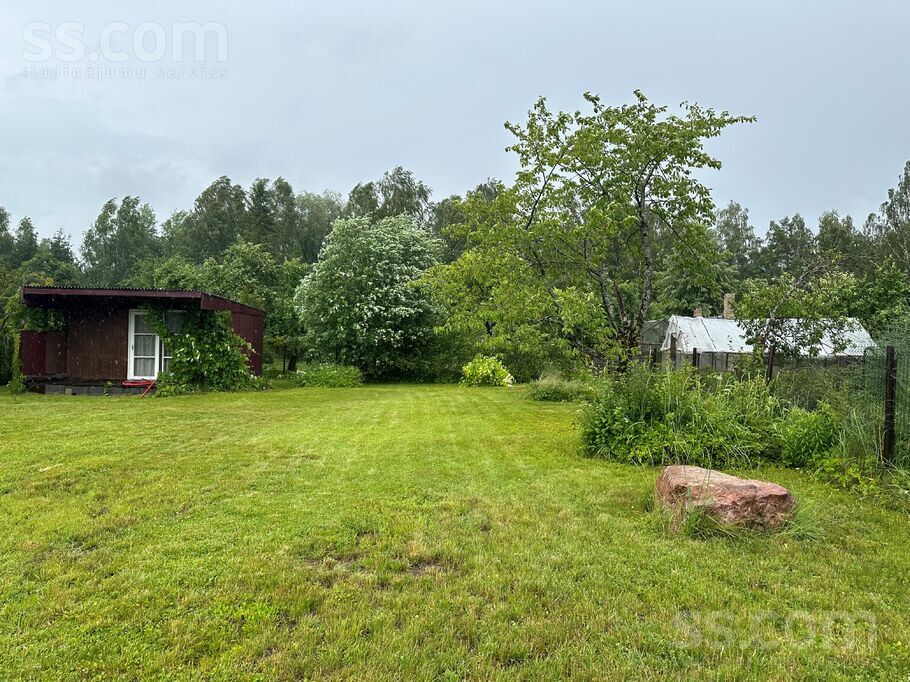 Vasarnīca 823 823, Ziedi, Aizkraukle un raj., Sērenes pag. — maja