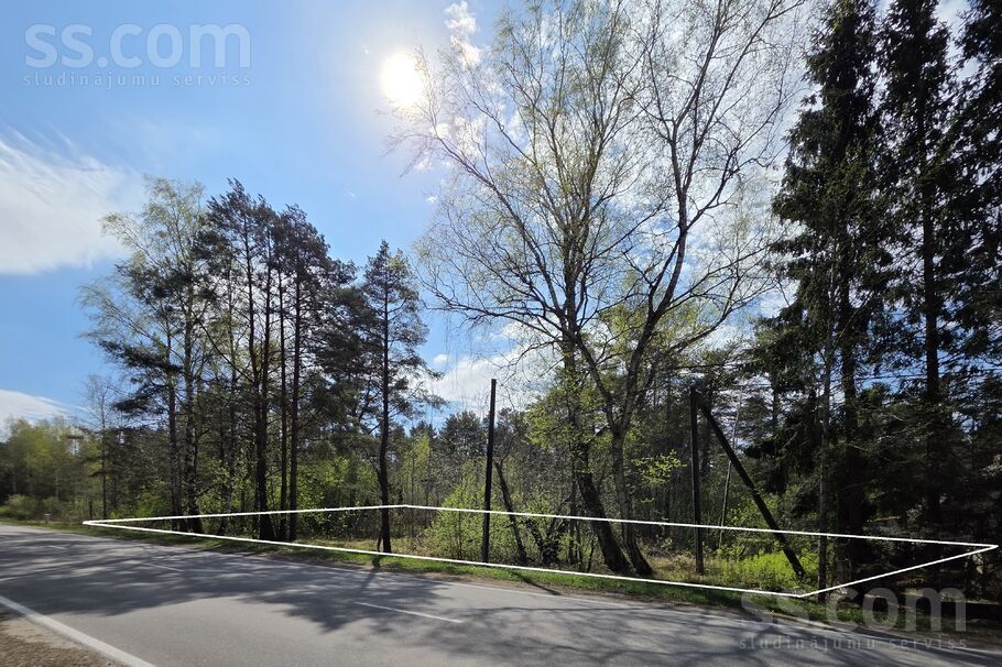 Ceļafišeri, Lapmežciems, Tukums un raj. — zeme