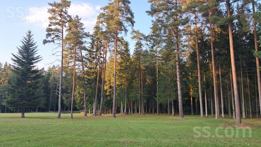 Daugmale, Rīgas rajons, Daugmales pag. — vienseta