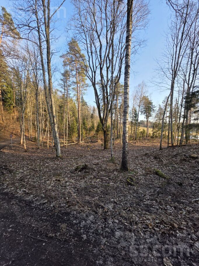 Zemes elpa, Raiskums, Cēsis un raj., Raiskuma pag. — zeme