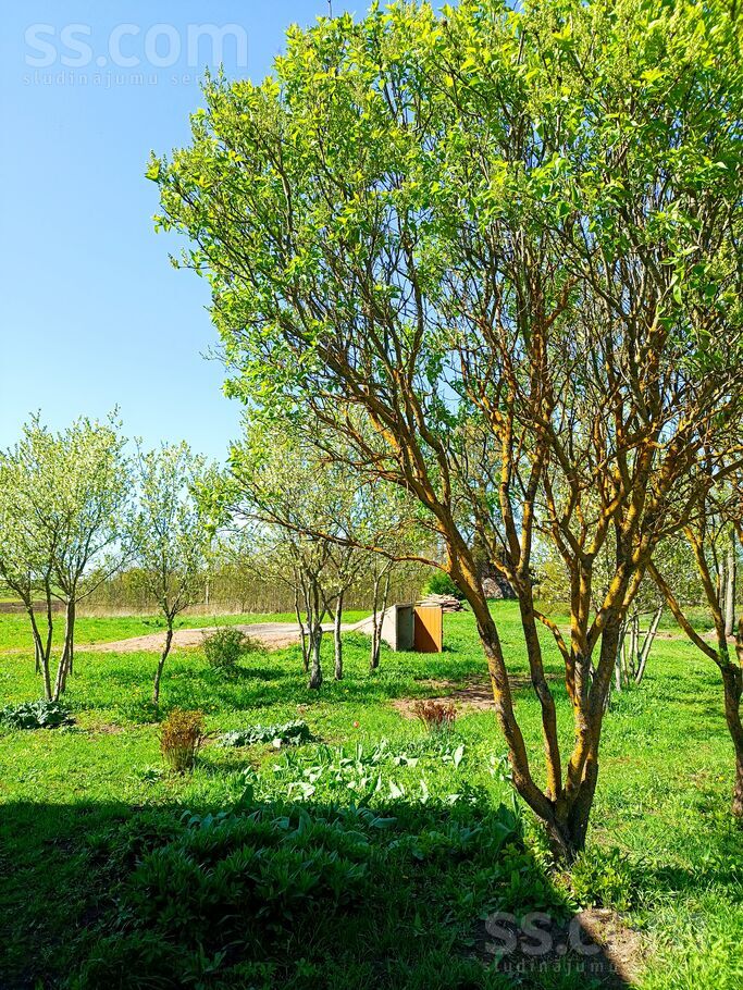 Varpas 1, Podvinka, Jēkabpils un raj., Vīpes pag. — maja