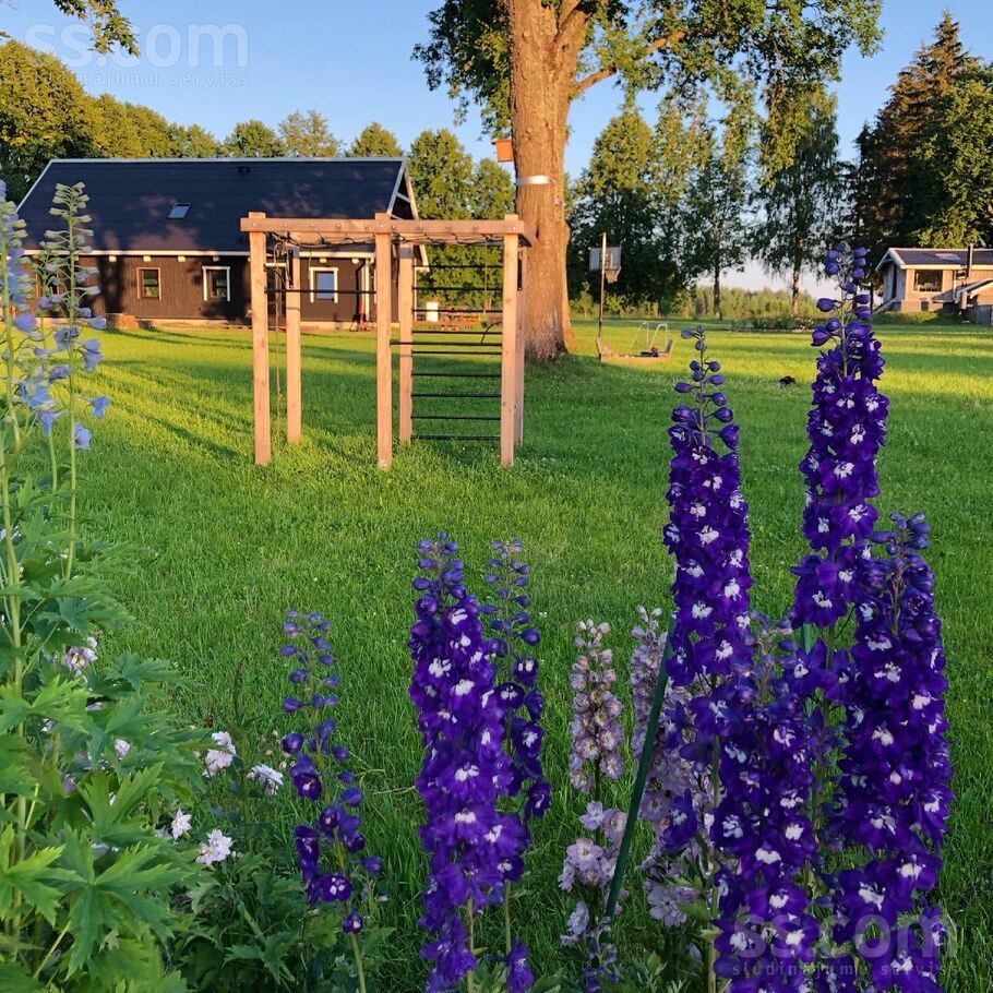 Rauza, Valka un raj., Palsmanes pag. — vienseta