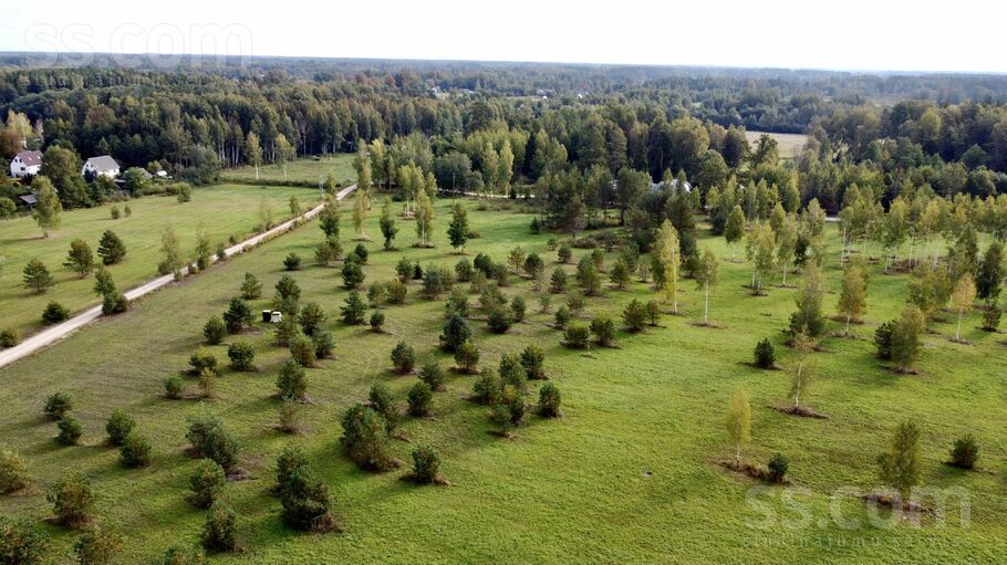 Dobelnieki, Rīgas rajons, Salaspils — zeme