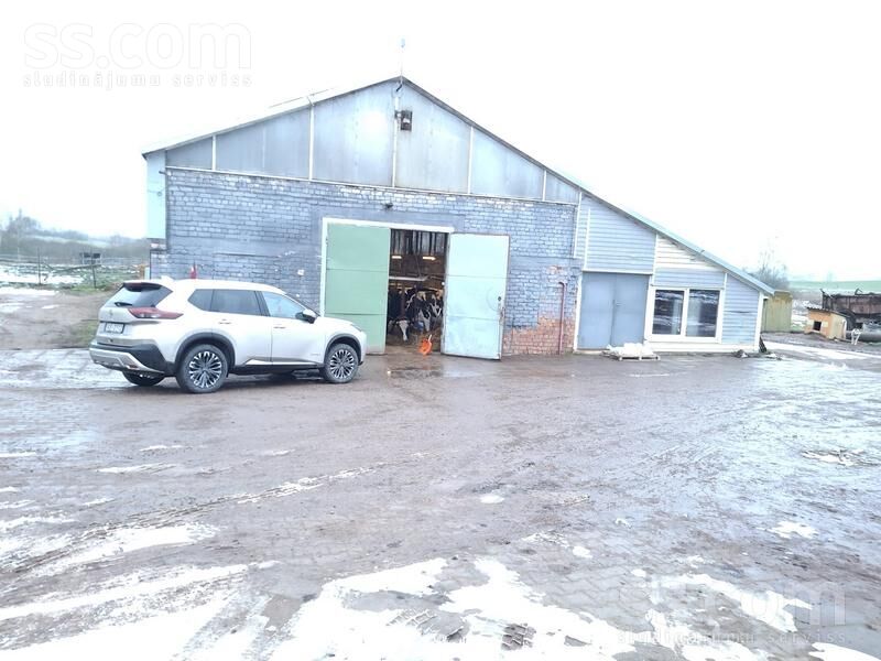 Kalna Pupoli, Šengeida, Daugavpils un raj., Skrudalienas pag. — telpa