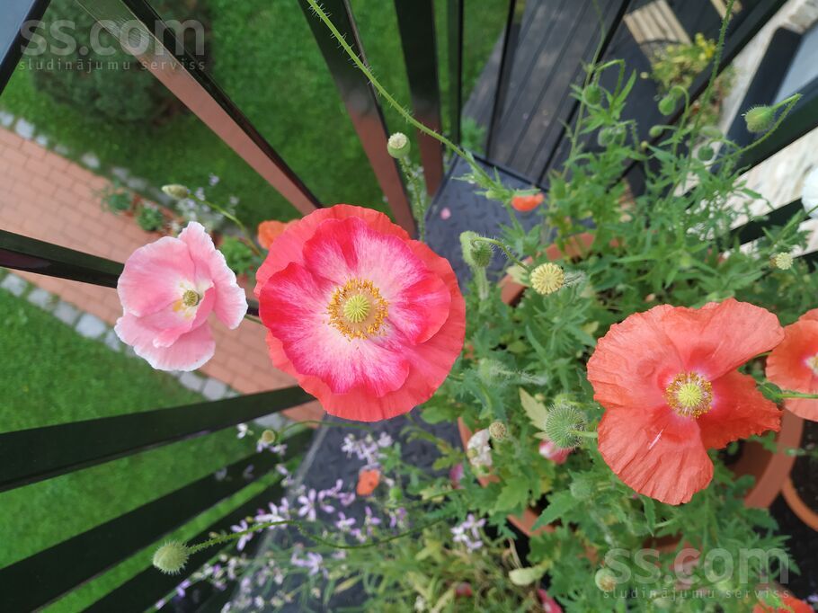 Mūrnieku 12a, Rīga — dzivoklis