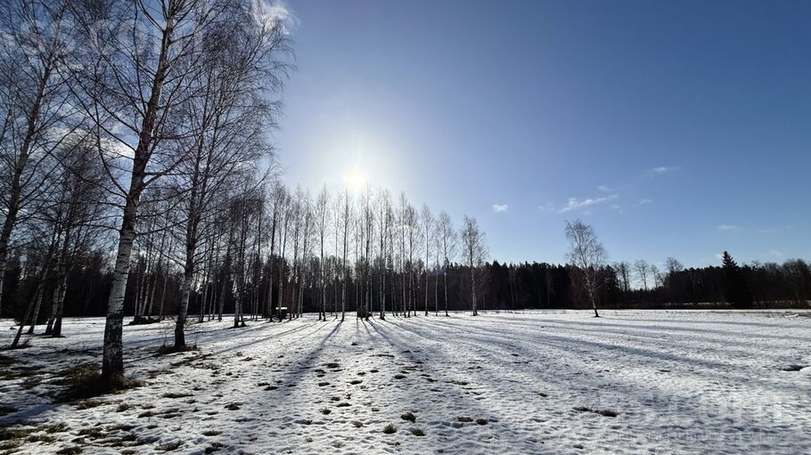 Vecupes 7, Rīgas rajons, Baldone — zeme