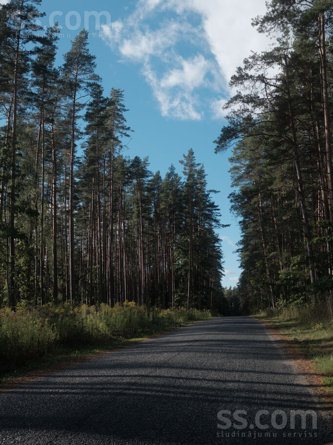 Dzirnavu iela 60, Cēsis un raj., Cēsis — zeme
