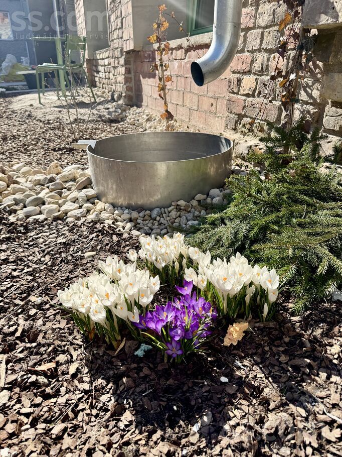 Alauksta 7, Rīga — dzivoklis