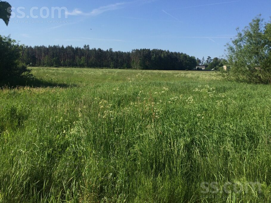 Daugavas, Vētras, Rīgas rajons, Mārupes pag. — zeme