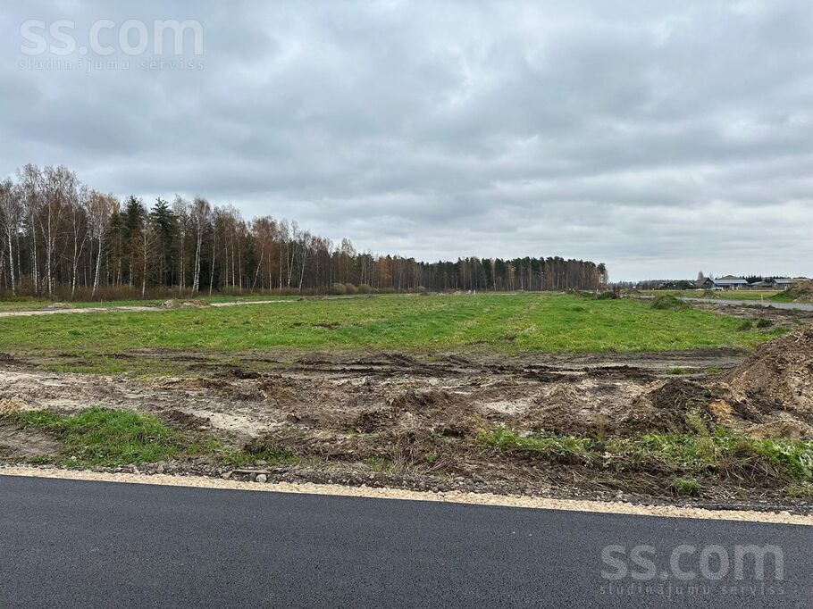 Vendijas, Grēnes, Rīgas rajons, Olaines pag. — zeme