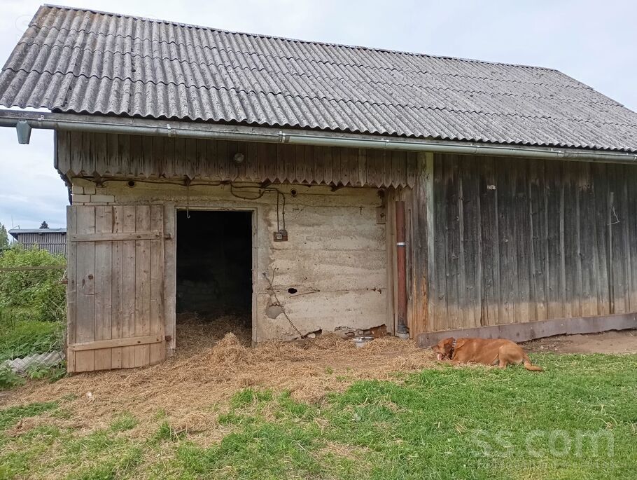 Pērnavas 19, Valmiera un raj., Rūjiena — maja