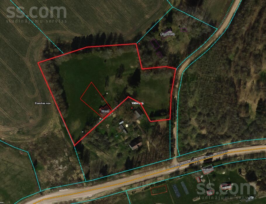 Bauska un raj. — vienseta