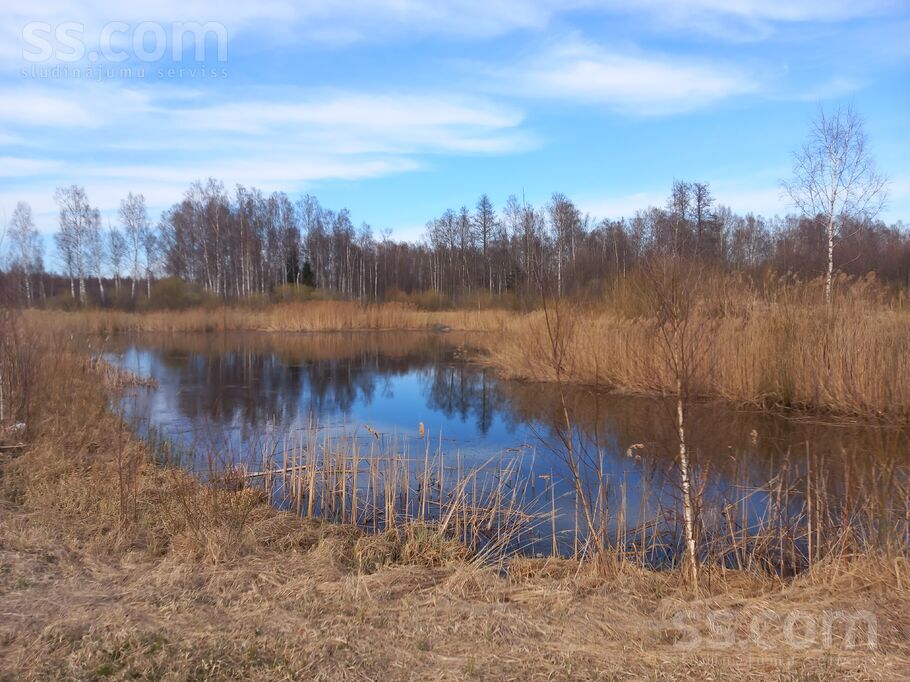 Tadenava, Jēkabpils un raj., Dunavas pag. — vienseta